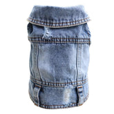 SILD blue denim dog coat for small dogs provides sun protection.
