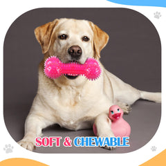 Silipull spiky squeaker ball pink supports fetch, bite-play, and enrichment.