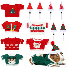 SilTriangle Christmas guinea pig sweater worn for warmth and festive look.
