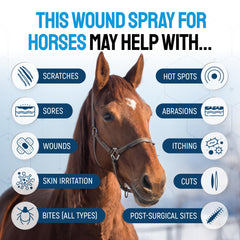 Silver Grade wound spray label close-up highlighting safe formula for gentle care