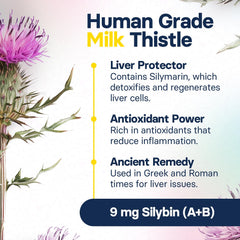 SilymarinAdvanced liver-detox visual illustrates toxin reduction for canine liver health.