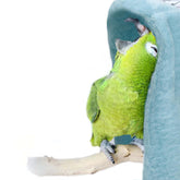 SIMENA bird blanket in cage provides cozy warmth for daytime naps.