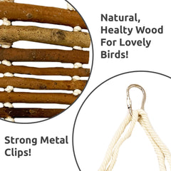 SIMENA interactive-bird-toy-enrichment encourages exploration during playtime for parrots.
