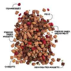 Simple Food Project freeze-dried-raw-pieces depict convenient canine protein