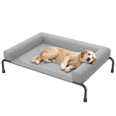 Simple Trending elevated dog bed assembled outdoors showcasing sturdy frame for outdoor lounging
