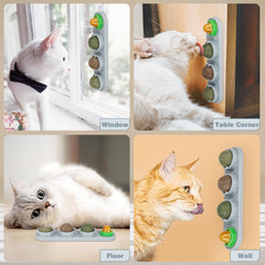 SINROBO Catnip Ball Flavor Display showcases catnip, silvervine, and gall fruit flavors