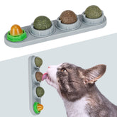 SINROBO Catnip Ball Wall Attachment shows secure grip for licking sessions
