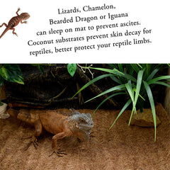 SISIPAI LIFE reptile carpet easy-clean surface resists dirt and dries quickly