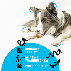 Sitka Farms glucosamine-chondroitin-rich trachea supports joint comfort during playtime