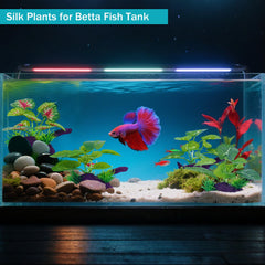 SIYIPURR silk aquarium plants with betta-friendly leaves to protect delicate fins.