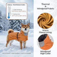 SKIPGEAR Softshell Dog Winter Vest Back view highlights full range of motion for running.