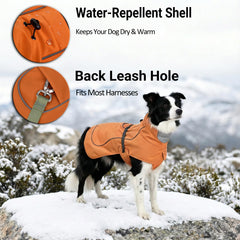 SKIPGEAR Softshell Dog Winter Vest Belly buckle and leg loops secure a centered fit.