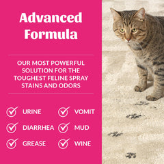 Skout's Honor Cat Severe Mess on carpet before-and-after results.