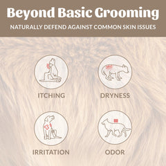 SKOUT'S HONOR microbiome-friendly certification badge signals balanced skin for dogs.