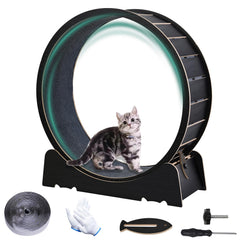 Skrnqcoz Large Cat Exercise Wheel 40-inch front view shows spacious running surface for indoor activity
