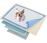 Skywin TidyFriend dog pee pad holder tray beige top view for mess containment and floor protection.