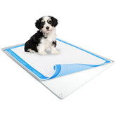 Skywin TidyFriend pee pad holder on floor setup shows clean indoor protection.