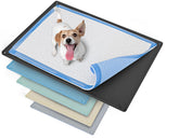 Skywin TidyFriend pee pad tray front view shows a compact, spill-minimized setup for indoor use.