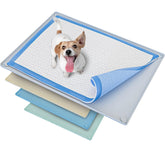 Skywin TidyFriend tray with raised edges for contained spills during puppy pad use.