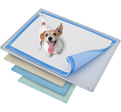 Skywin TidyFriend tray with raised edges for contained spills during puppy pad use.
