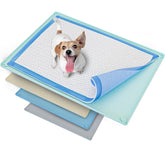 Skywin TidyFriend tray with raised edges helps contain spills on hard floors.