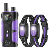 SLOPEHILL dual-channel remote enables training two dogs simultaneously during outings