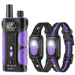 SLOPEHILL dual-channel remote enables training two dogs simultaneously during outings