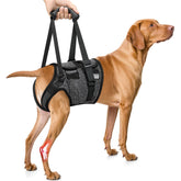 SlowTon Dog Lift Harness front view shows secure fit for stairs and car entry.