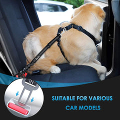 SlowTon reflective stitching improves visibility during night drives.