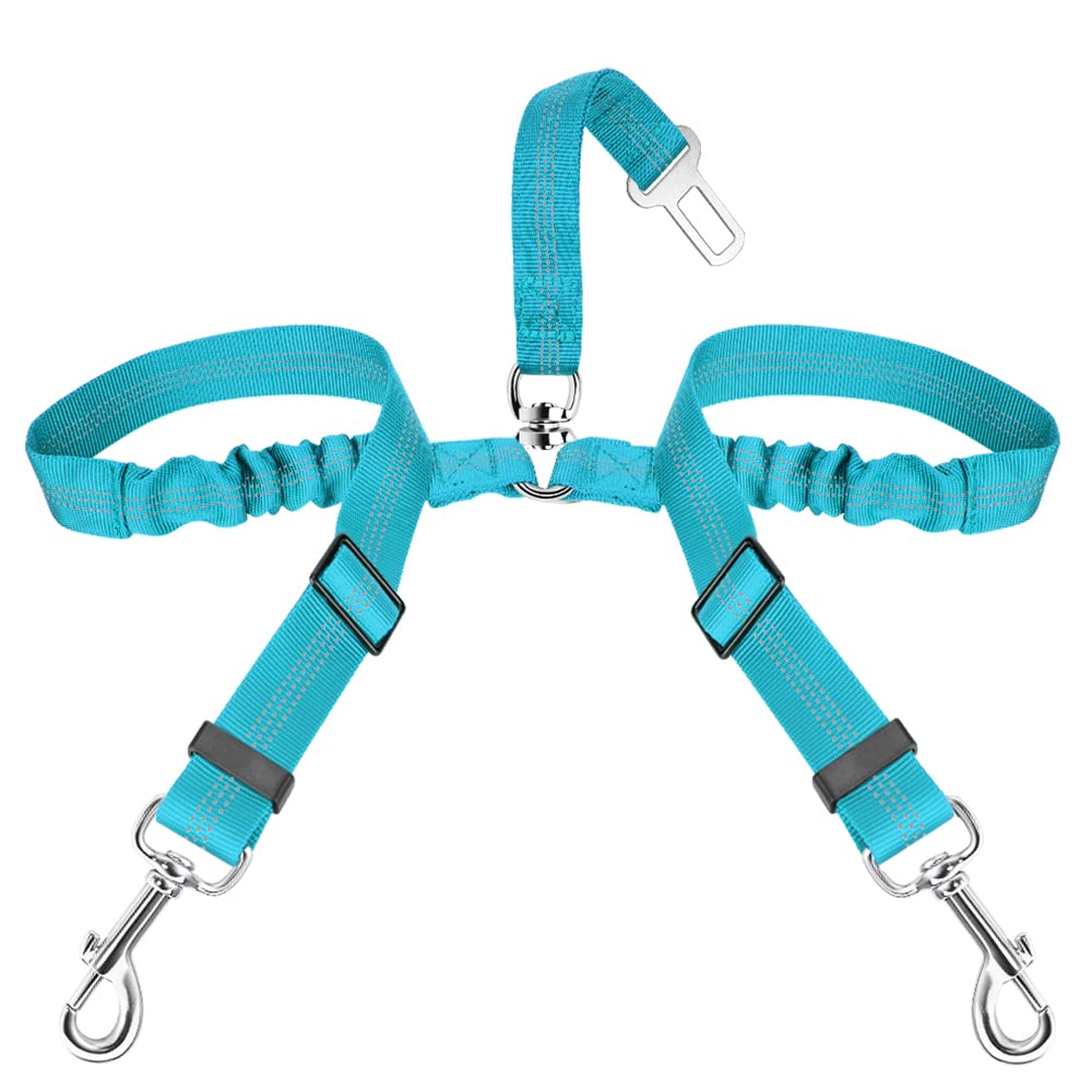 SlowTon dog seat belt front view shows a secure back-seat setup for two dogs.