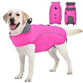 SlowTon dog winter coat waterproof fleece inner keeps your dog warm and dry on walks.