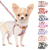 SlowTon no-pull harness on a dog showing comfortable walk-ready fit.