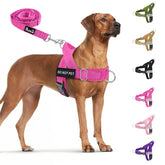 SlowTon No Pull front clip harness in fuchsia for training and daily walks