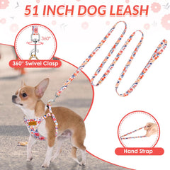 SlowTon no-pull harness on dog during walk reduces leash tangling