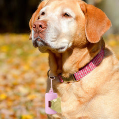 SLSON elastic loop holds dispenser securely on leash or wrist