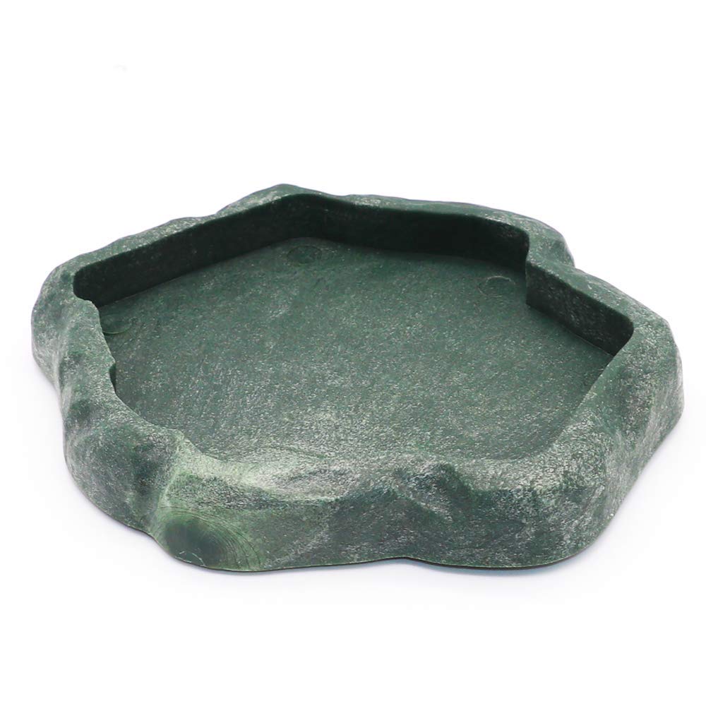 SLSON small reptile feeder in green terrarium bowl, ideal for easy gecko meals