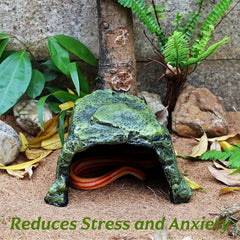 SLWHYZL reptile hideout resin close-up, durable shelter material.