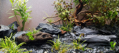 Small World Slate wall-cliff-scene captures dramatic vertical landscapes in terrariums.