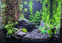 Small World Slate & Stone paludarium rocks enhances landscape realism