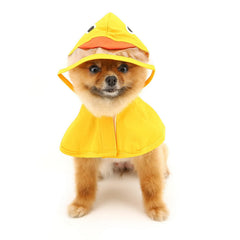 Smalllee Lucky Store waterproof material hood keeps dog dry in showers.
