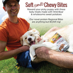 Smart Cookie soft-chewy texture close-up emphasizes grain-free, human-grade quality.