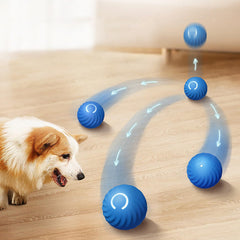 Smart Jumping Ball for Dogs blue LED ring glows during night play sessions.