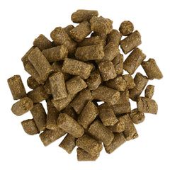 SmartEquine Equi Treats bite-sized cookies ideal for training rewards