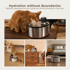 Smartoo fountain shows 152oz capacity with visible water window for monitoring