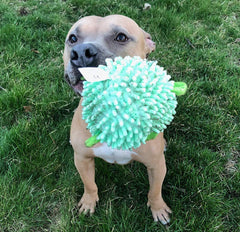 SmartPetLove Snuggle Puppy Tender-Tuffs Ball squeaker closeup shows puncture-resistant toy for durable fun