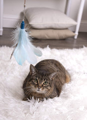 SmartyKat Frisky Flyer cat-chasing-wand invites interactive play that taps into natural hunting instincts.