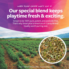 SmartyKat Tea Teazers promotes hunting and stimulation during play.