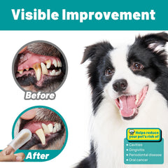 SmileDenX ingredients highlight plant enzymes, baking soda, and tea polyphenols for fresh breath support.