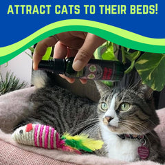 Smokey's Stash spray used during training to guide scratching behavior