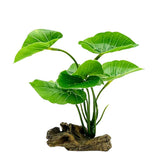 Smoothedo-Pets Betta leaf hammock 6inch green provides cozy hiding spot for small fish